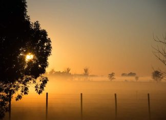 ¿De qué color es ese sol?