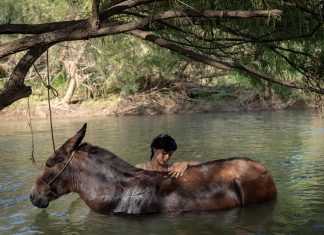 ‘La Arriera’, película de Isabel Cristina Fregoso, sobre la diversidad sexual en el jalisco de los años 30, estrena en FICG