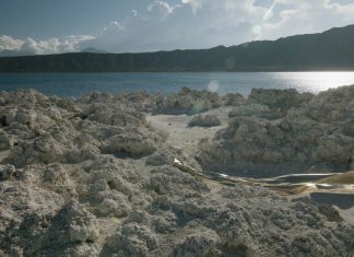 ENTREVISTA | ‘Yürei’, documental que explora la identidad de la comunidad Nikkei a través del paisaje y el tiempo