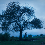 ‘El Eco’, de Tatiana Huezo: una película que a través de las infancias nos muestra el universo campesino