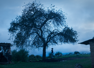 ‘El Eco’, de Tatiana Huezo: una película que a través de las infancias nos muestra el universo campesino