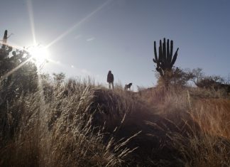 ‘SUJO’, es anunciada como parte de la selección oficial del Festival Internacional de Cine de San Sebastián