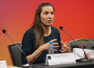 ‘Triste tigre’, de Neige Sinno, una obra cruda sobre abuso infantil que no quiere conmiseración