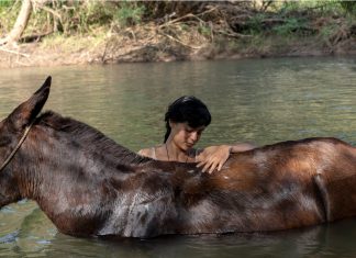 ENTREVISTA | ‘La Arriera’, de Isabel Cristina Fregoso: Mujeres que resisten, paisajes que hablan