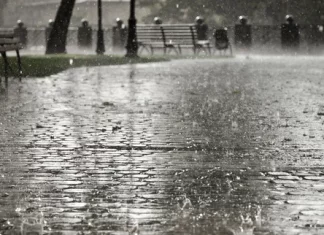 No se van las lluvias