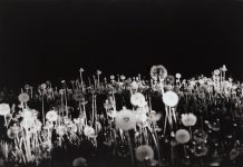 Todos los lugares son invierno (A veces te sigo pensando)