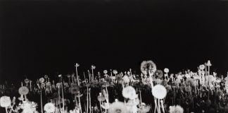 Todos los lugares son invierno (A veces te sigo pensando)