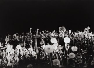 Todos los lugares son invierno (A veces te sigo pensando)